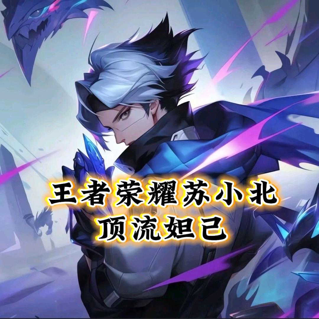 王者荣耀苏小北（妲己）