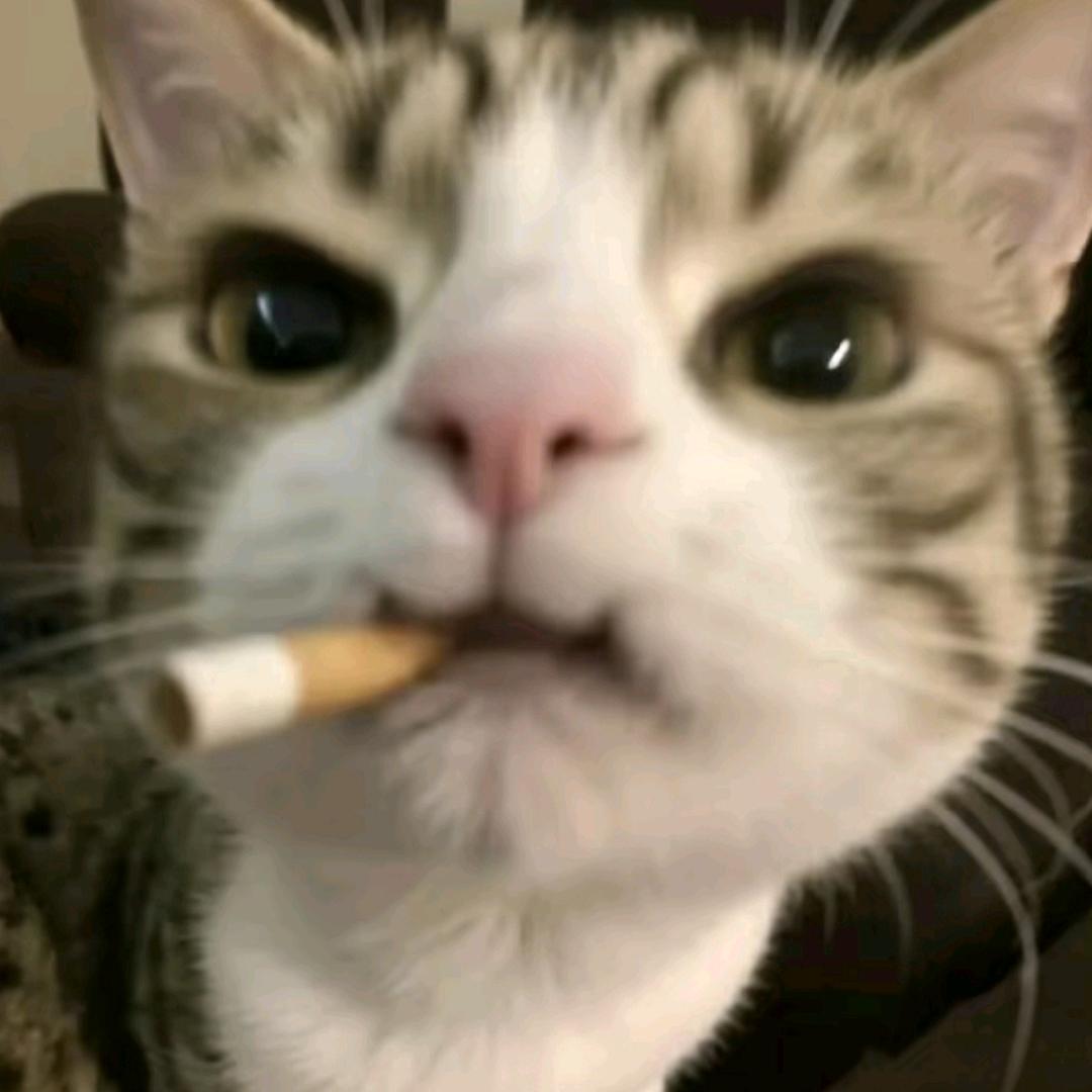 搁浅の