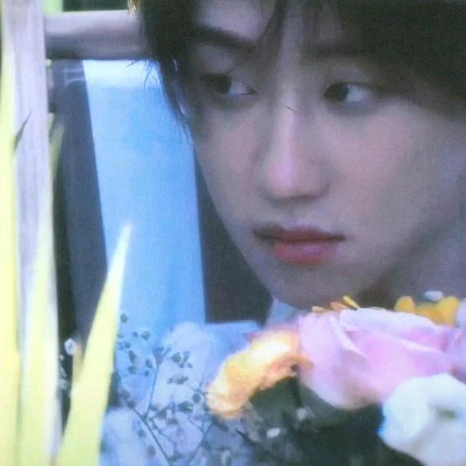 三寸光阴一个鑫