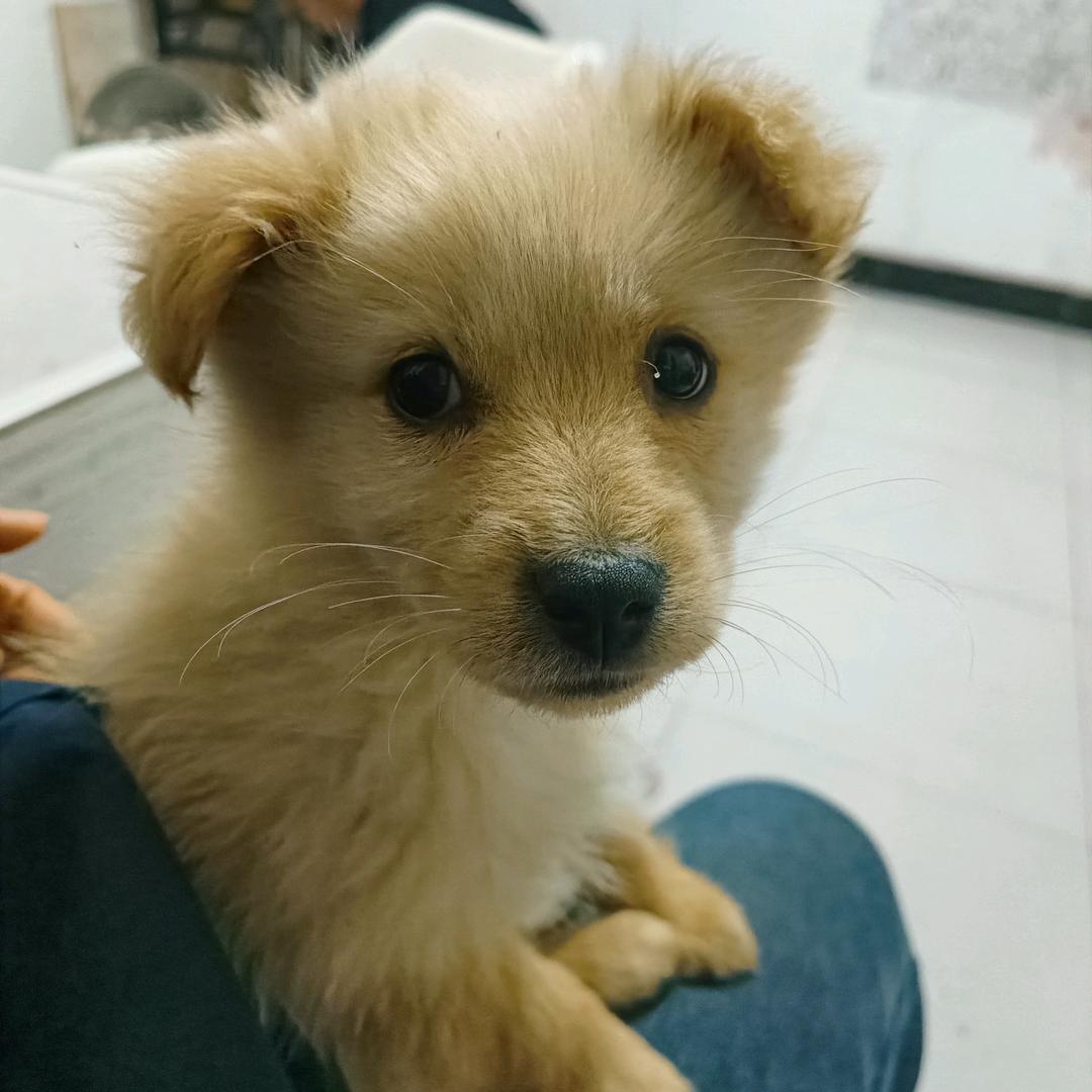 代代福
