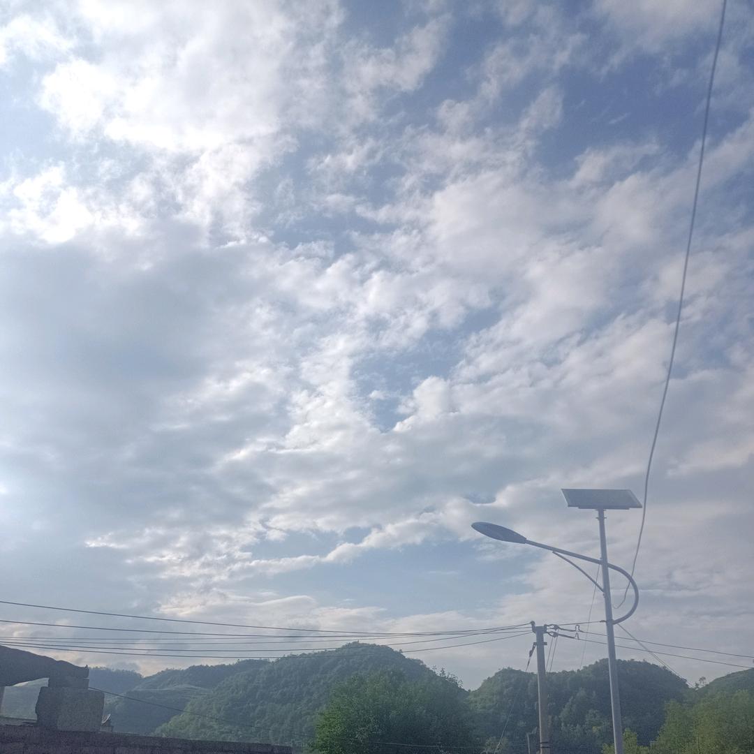 求道问仙