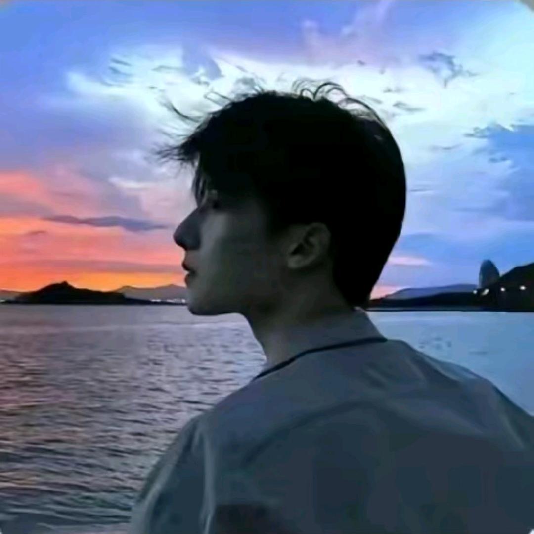 🌟星辰大海不是海