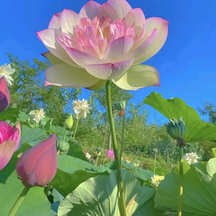开心快乐每一天
