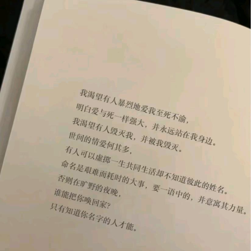 我的爱至死不渝