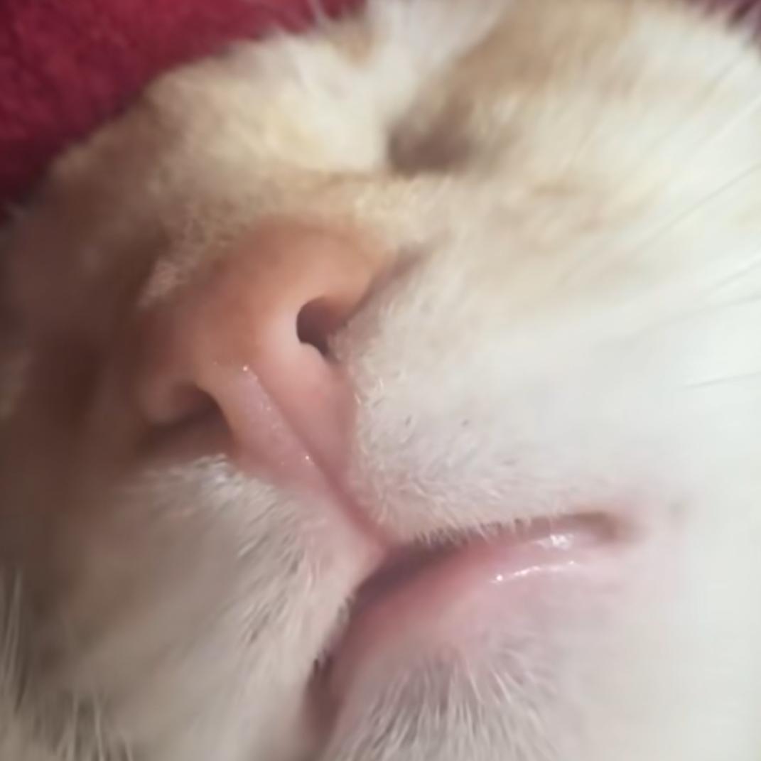 熙嘻嘻
