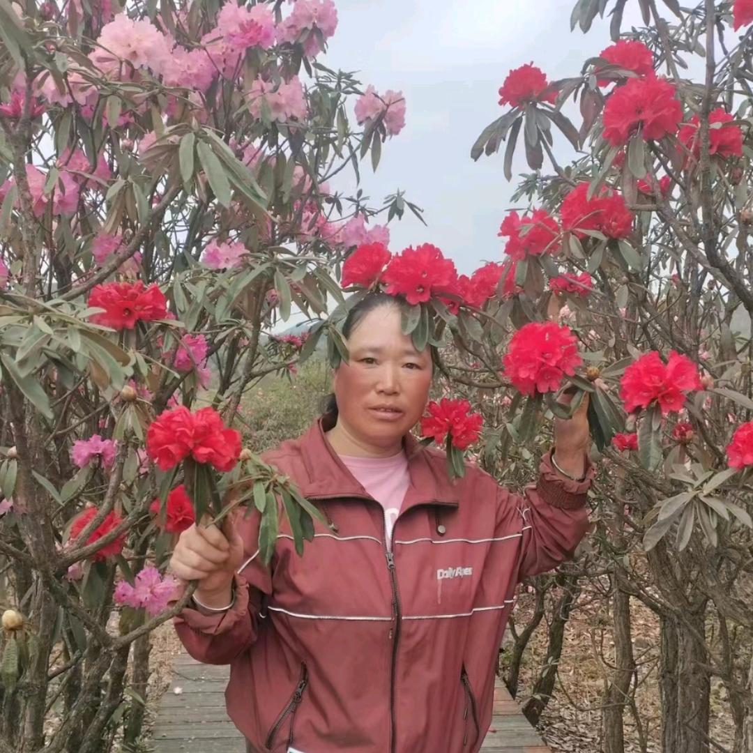 谢九妹