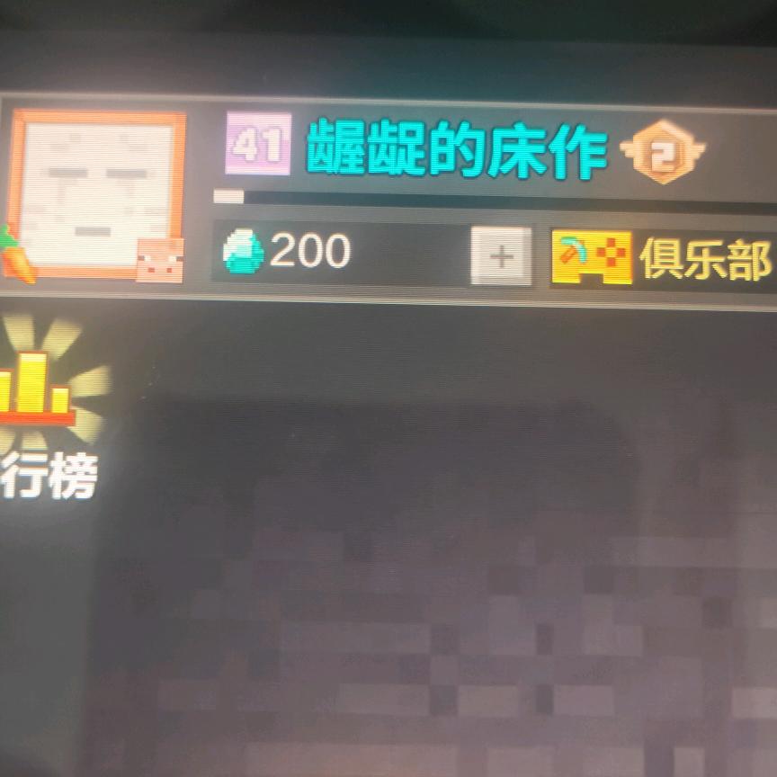 我的世界龌龊的床作