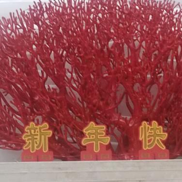 万紫千红