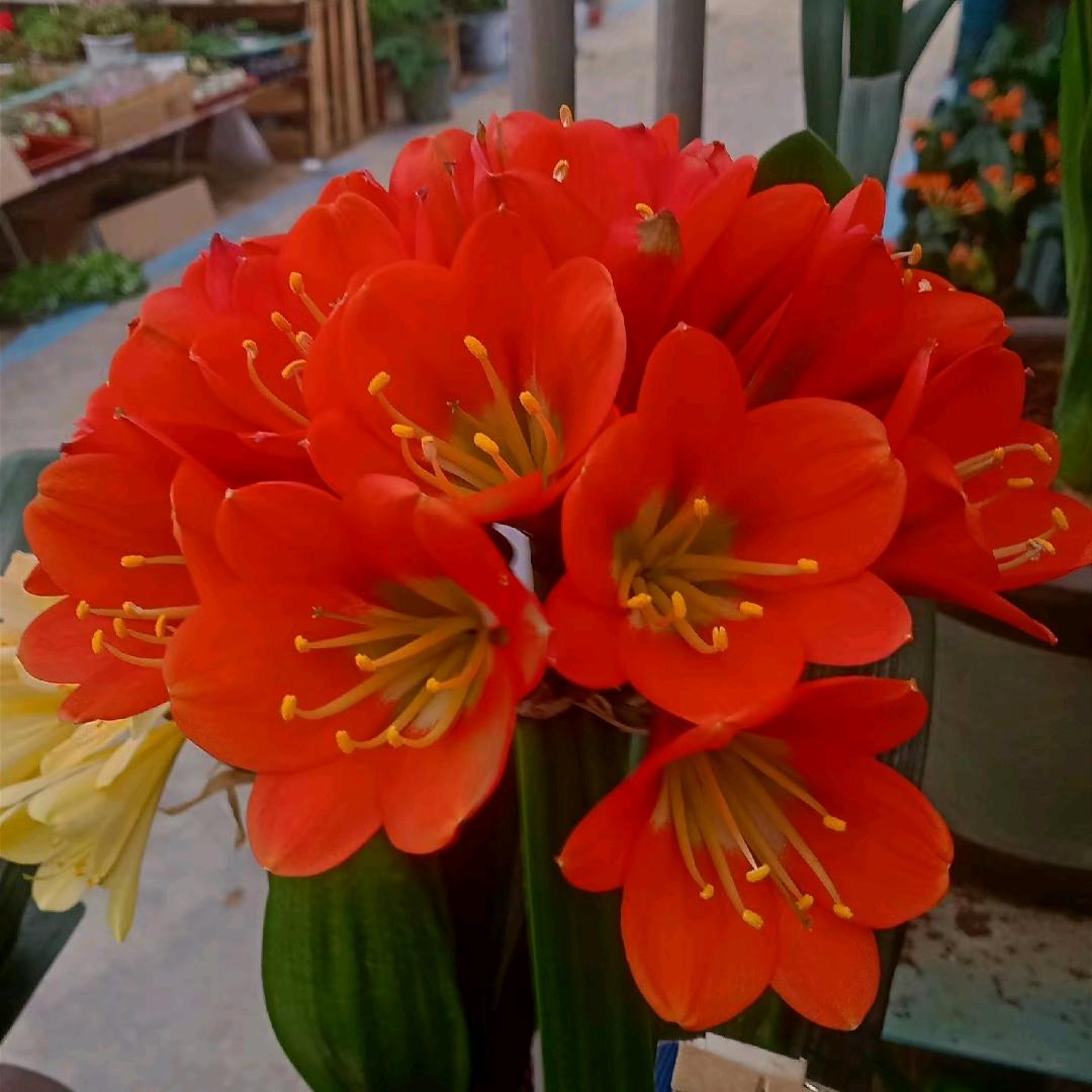 ℋღ᭄坚强的人🍒᭄💞࿐