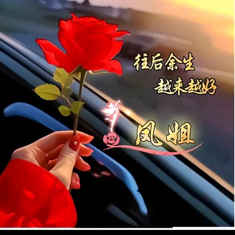 @凤姐