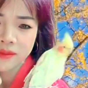 单身小不点(想要个家)