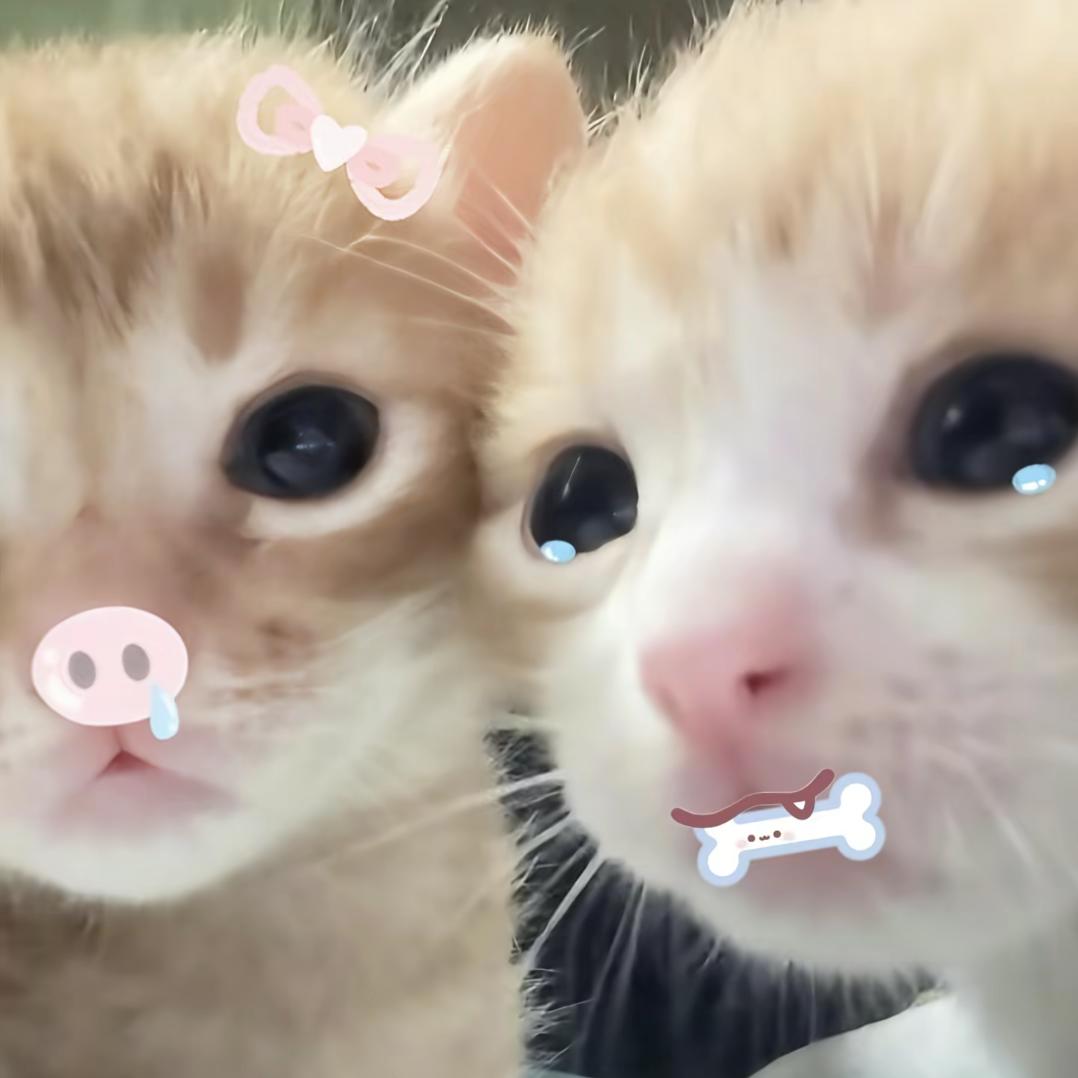 老子最后一次信