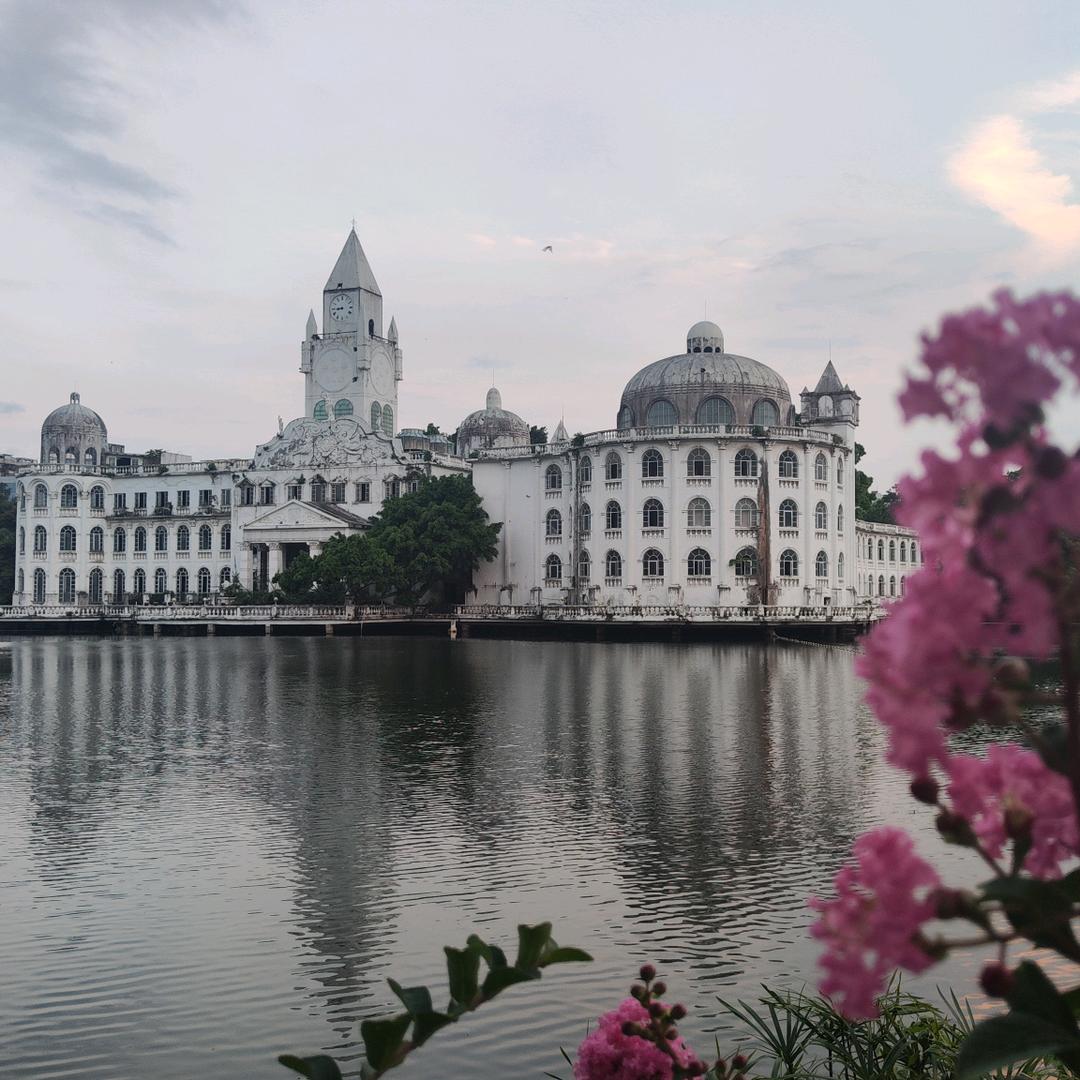 追风小喵