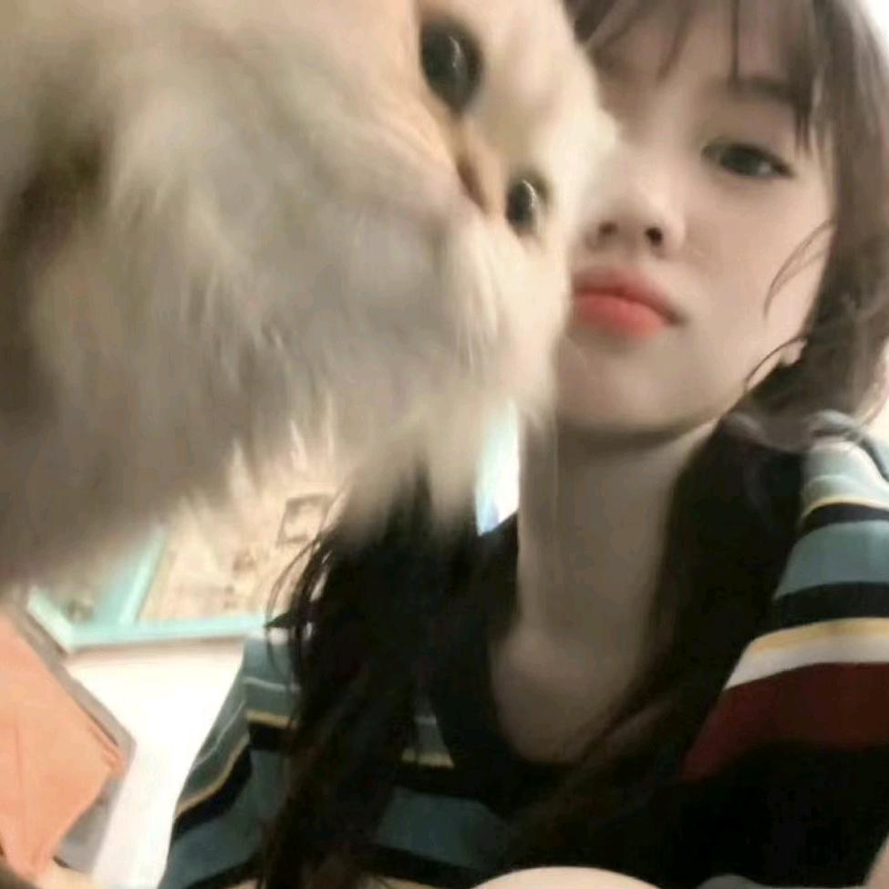 是梦啊……