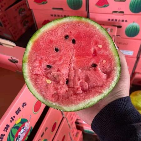 山东青州老范西瓜代办团队