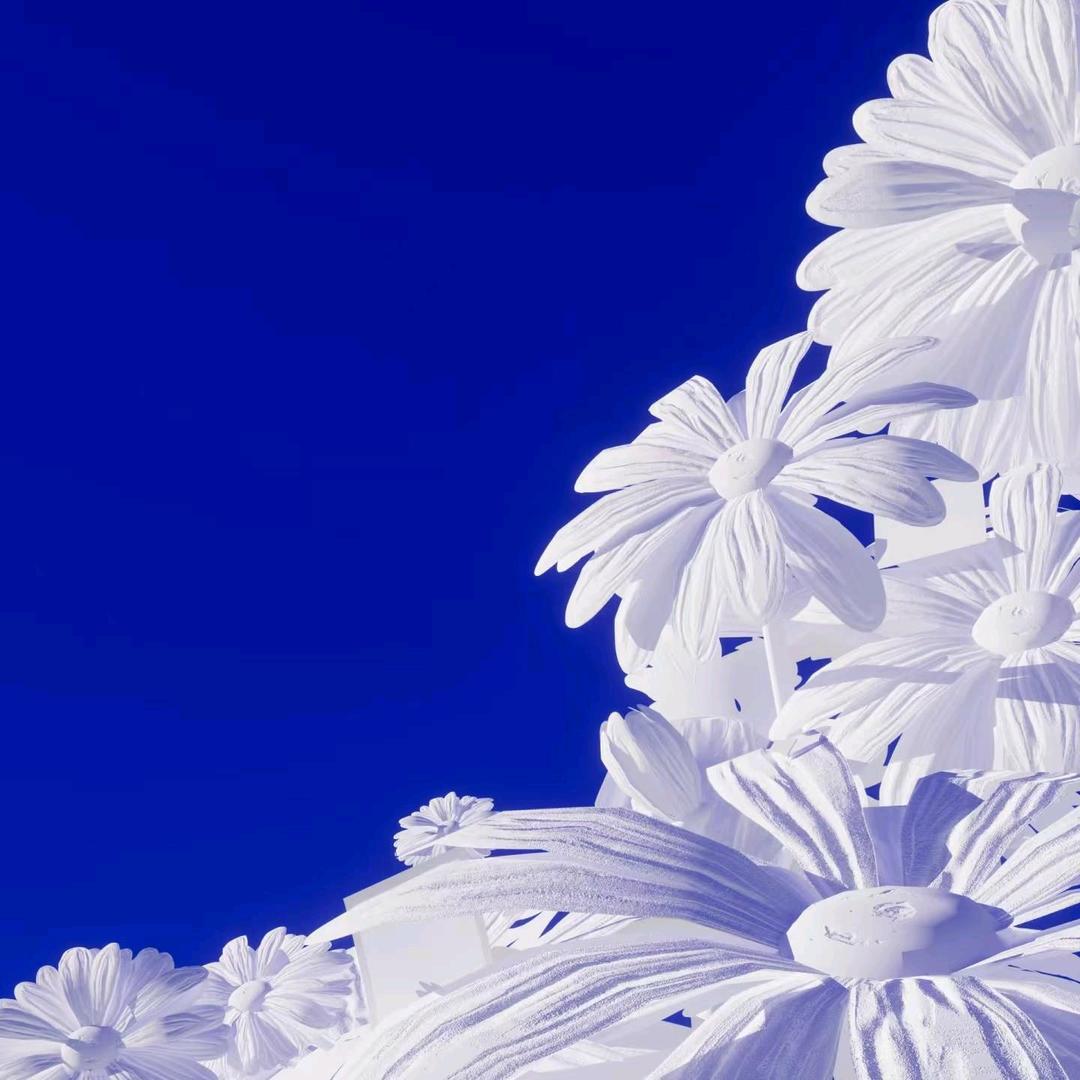 ᏦᎥŠℳ࿆࿆คτ