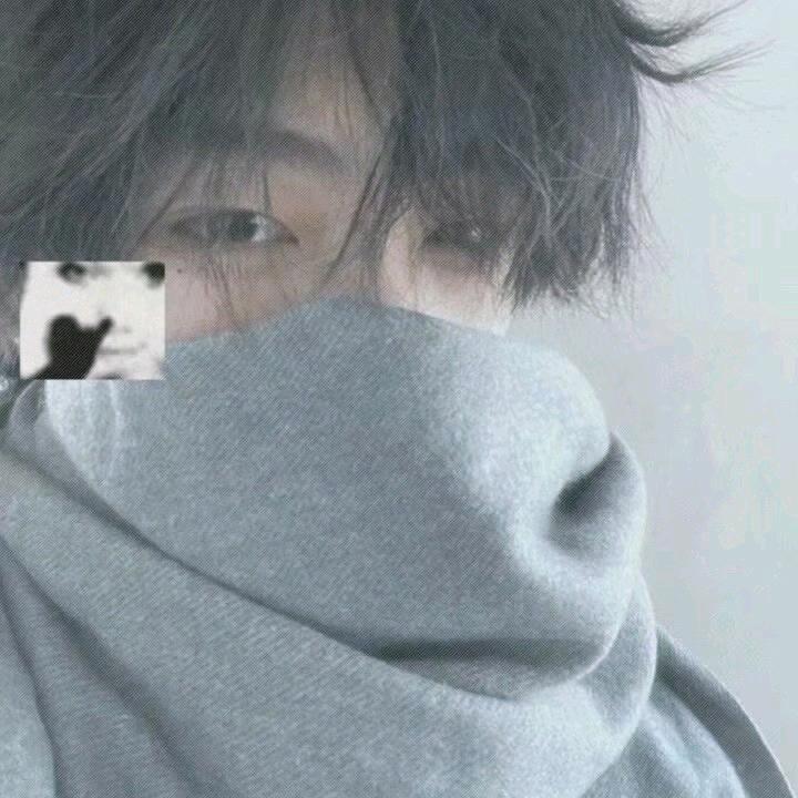 g汉斯