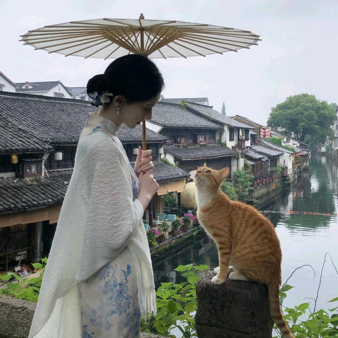 画夕颜