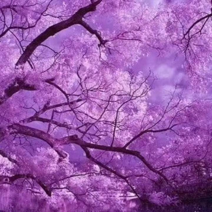 天地过客