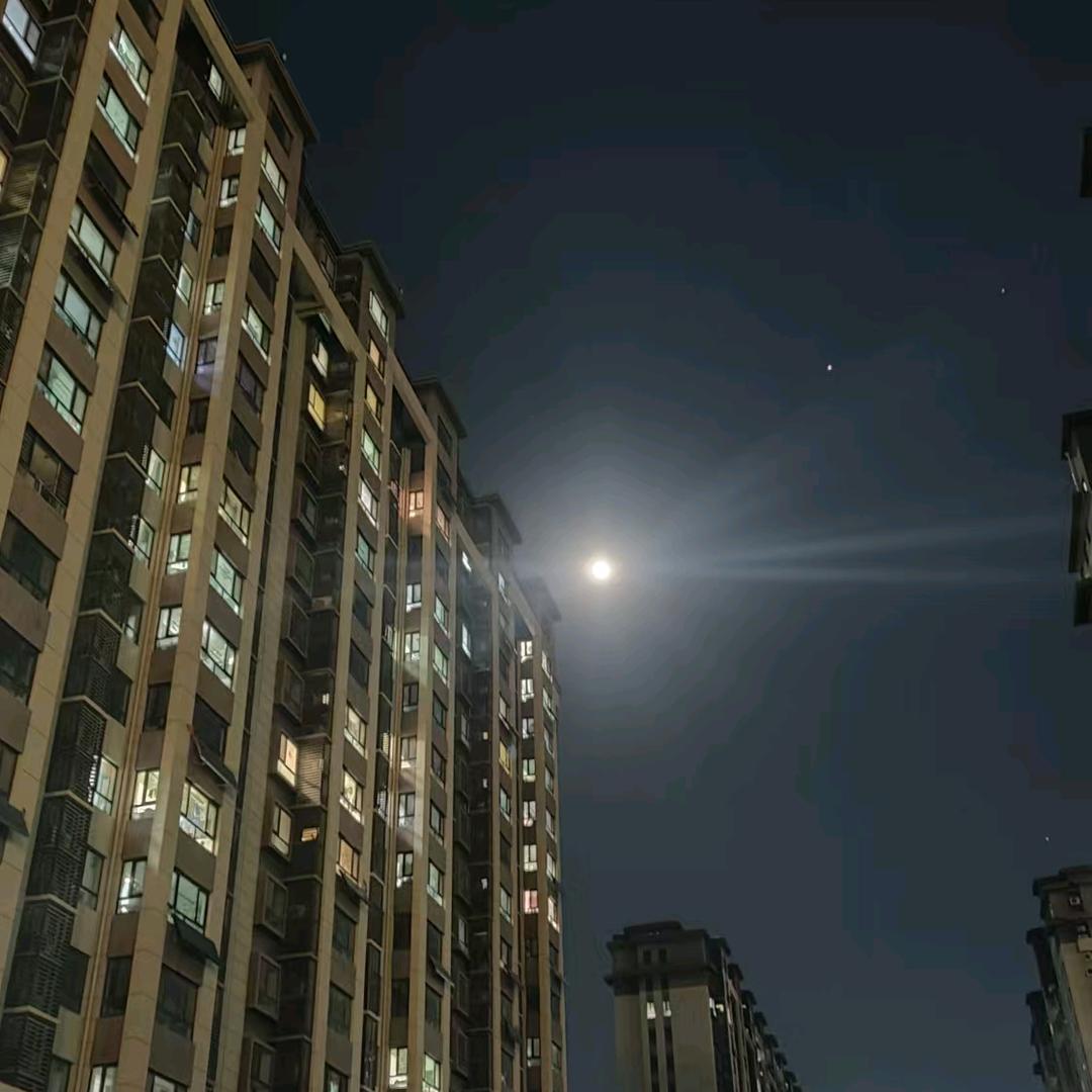 熠熠会发光