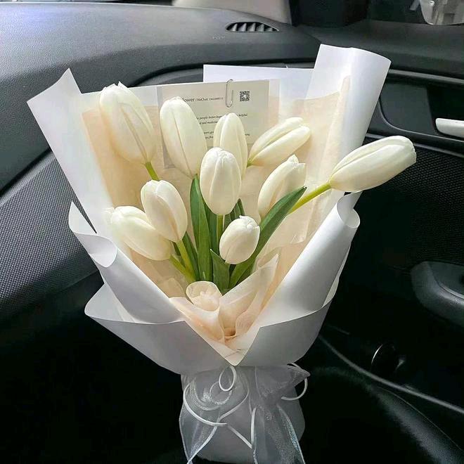 良辰不负美景户