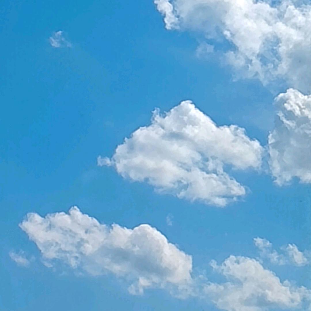 玉儿