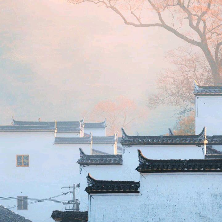 厨房阿妹
