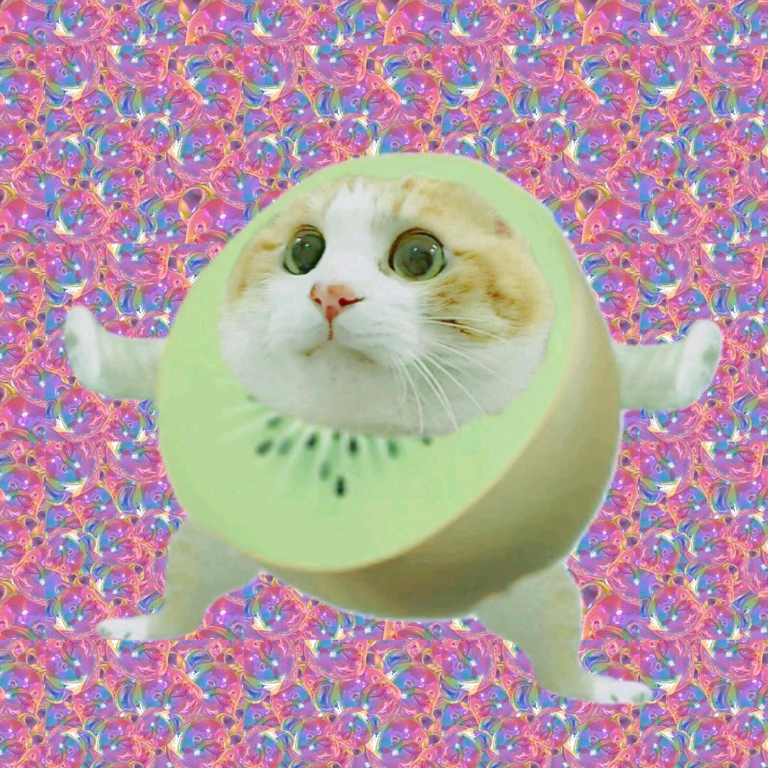 水夏