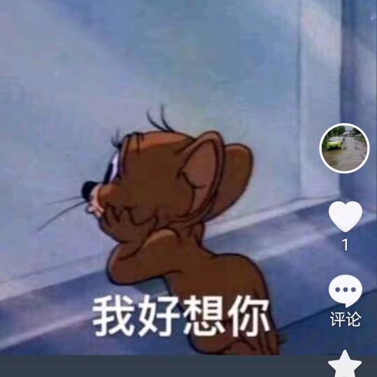 梦琴