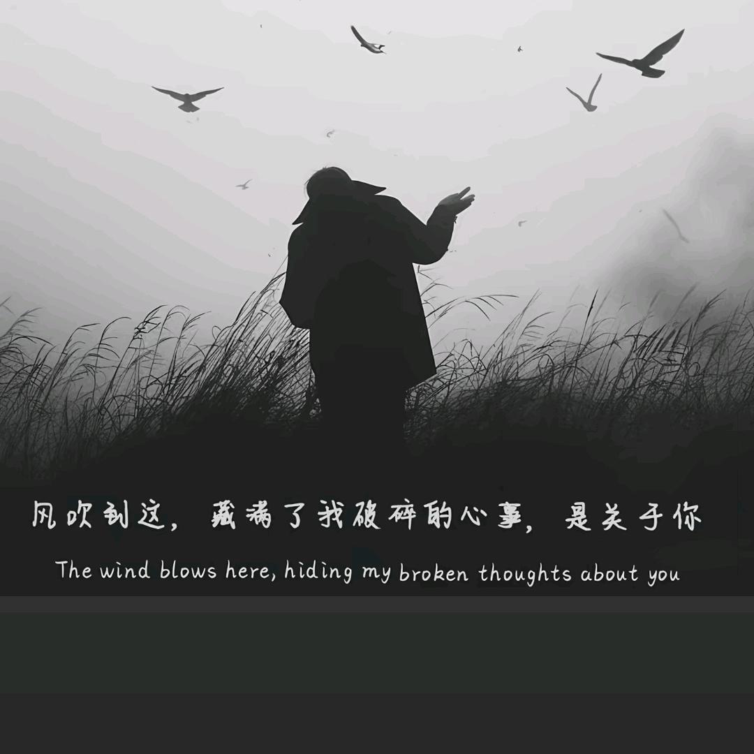 @风❤️听过我的故事🍃