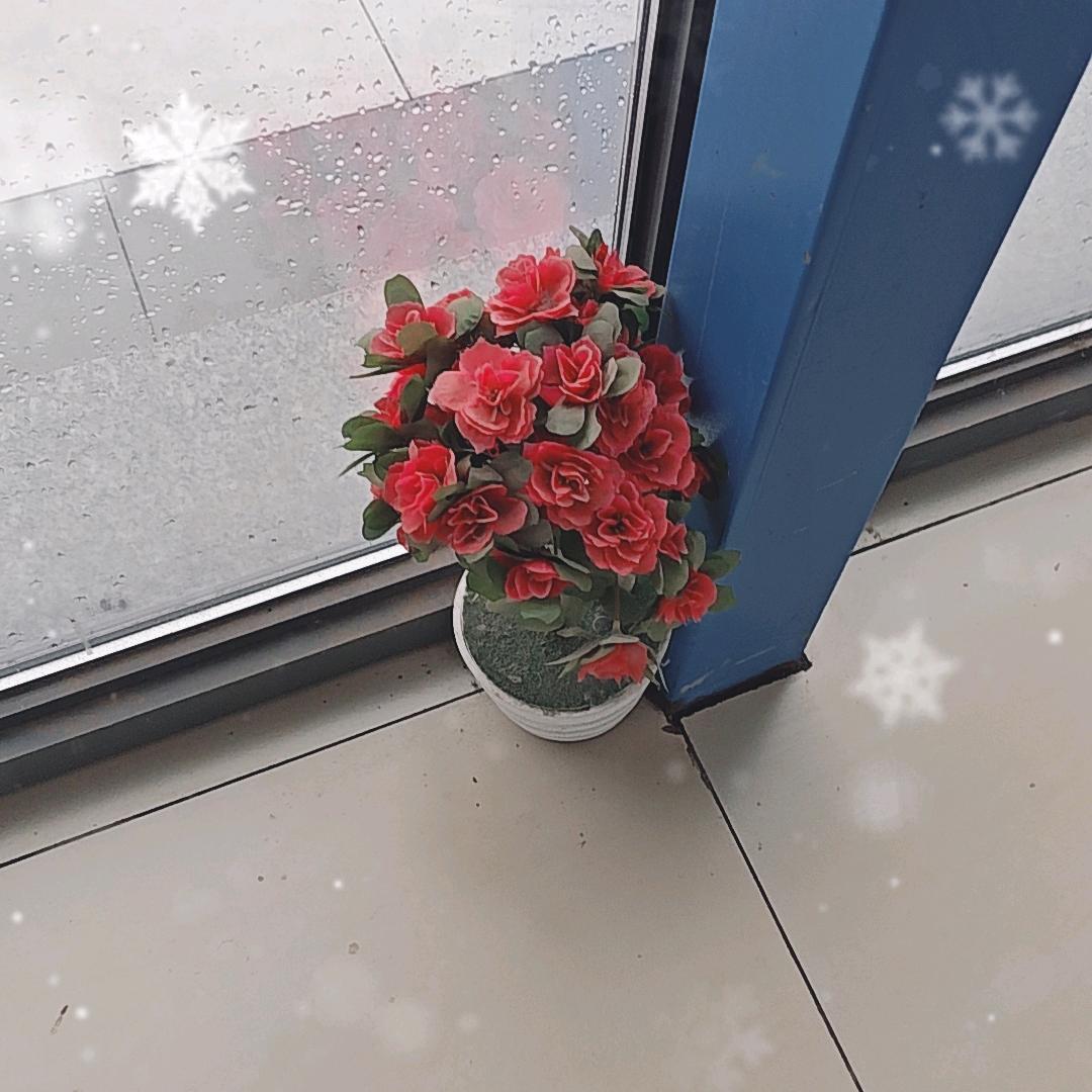 随缘。