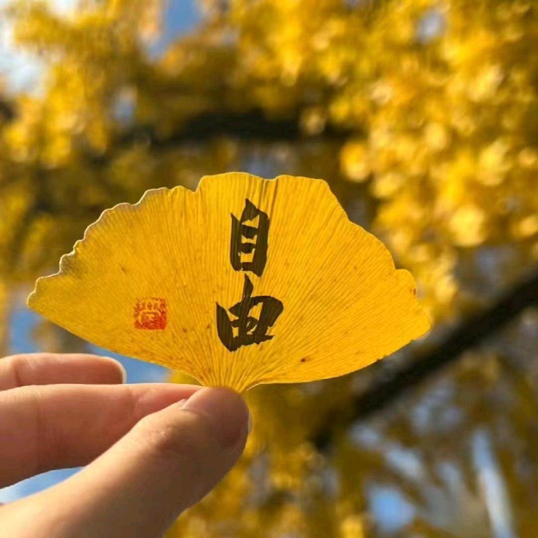 小鹿【解决🌈催婚难题】