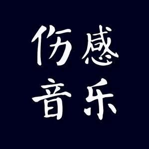 随风236