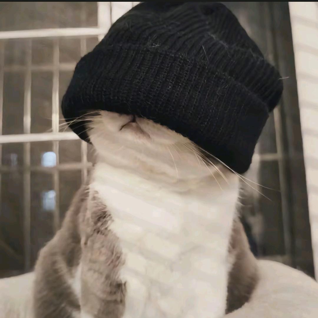 吢