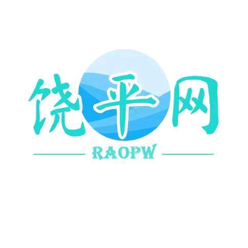 饶平网新传媒有限公司
