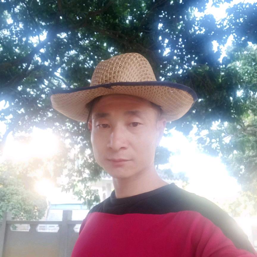 情森森