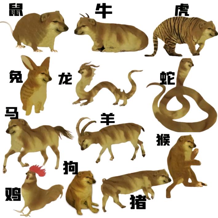猫meme神