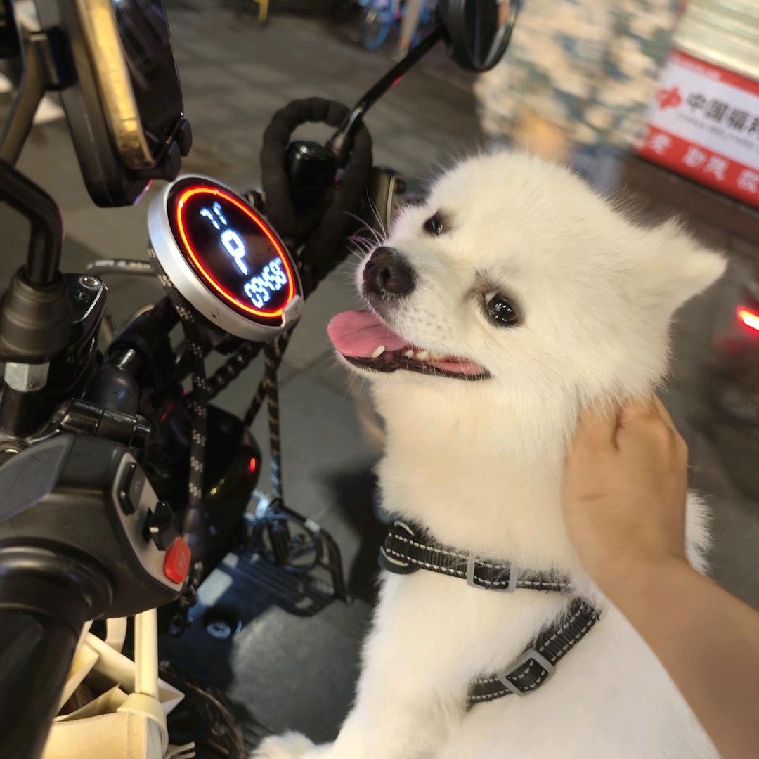 小陈学日语