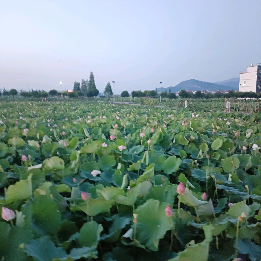 快乐的时光