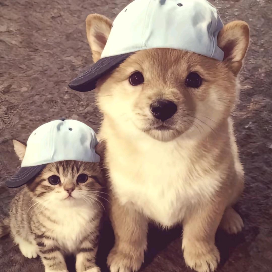 ( ╯－︿－)╯╧╧