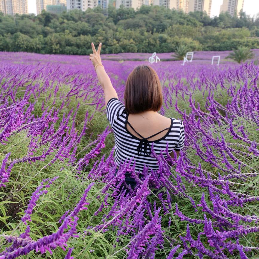 ❤️丽: 💞ᴸᴼ
