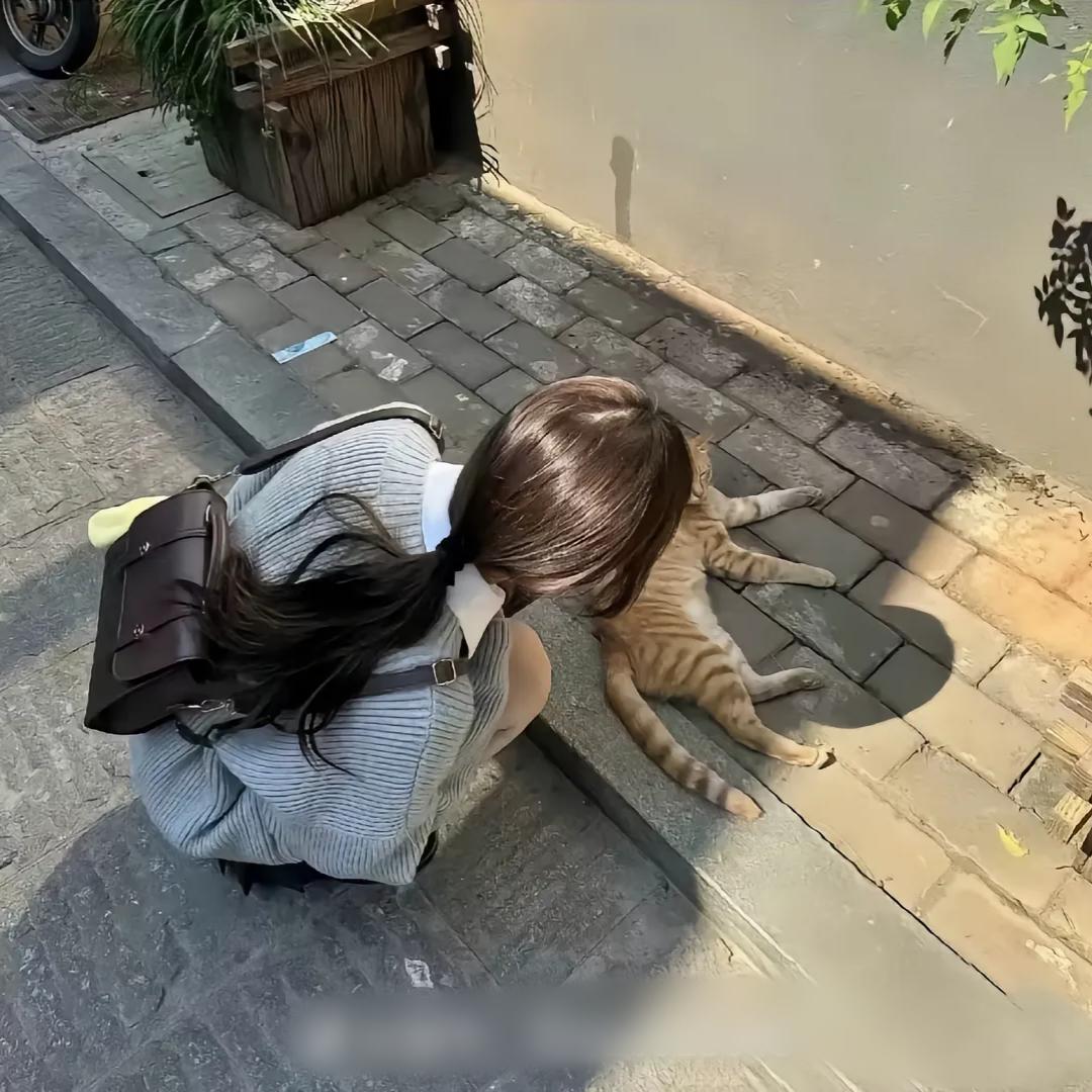 月亮头像