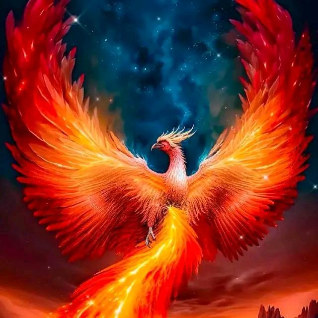 一一（请勿连赞）