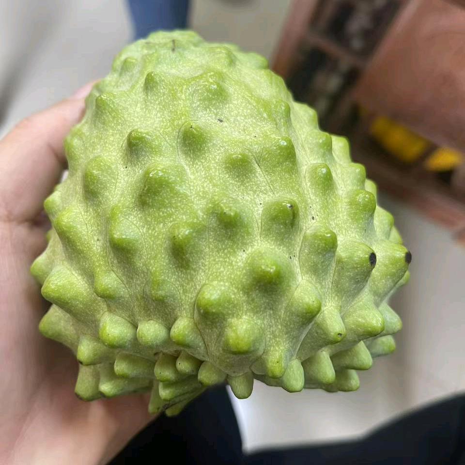 惠农生鲜供应链