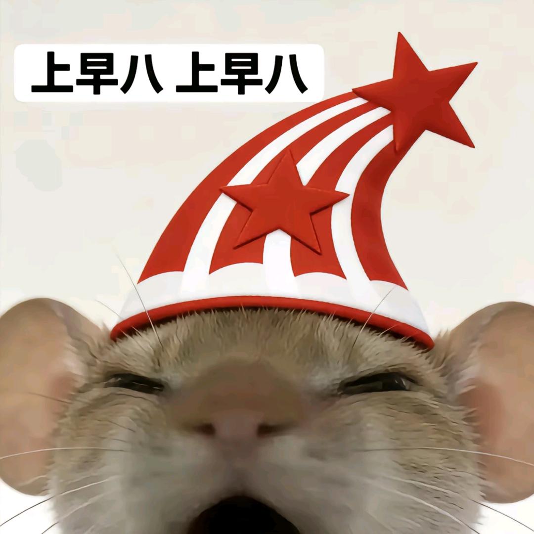 猫᳐ ੭  ⁃̀⩊⁃́