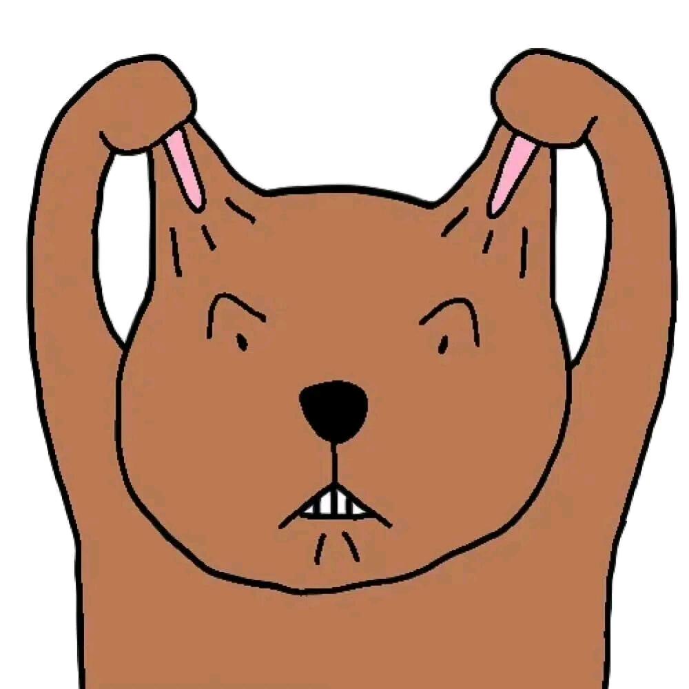 猫猫大师
