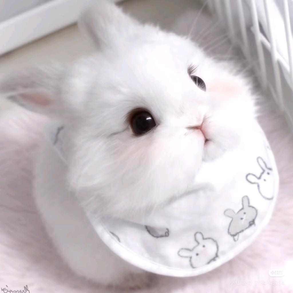 狼牙棒敲你脑壳