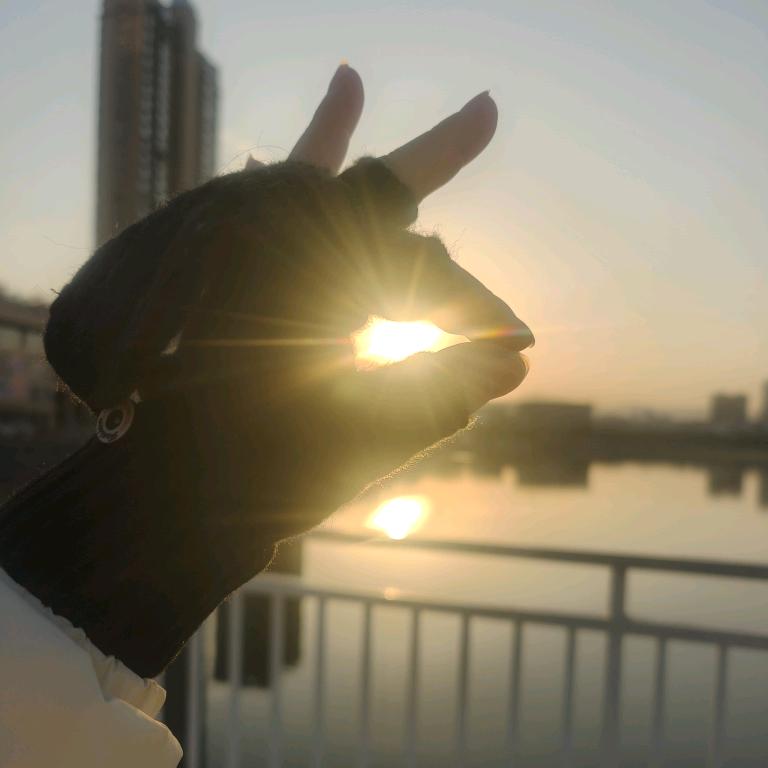 小海豚