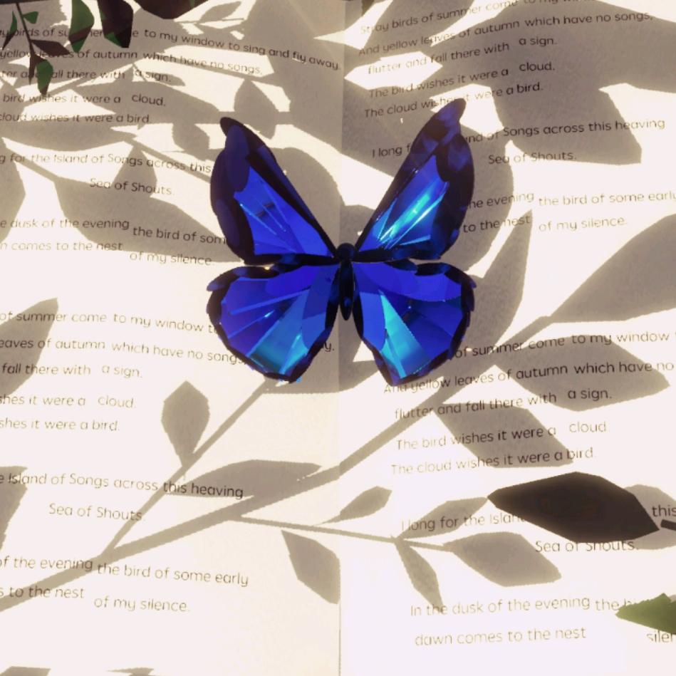 阳光中的小女孩儿