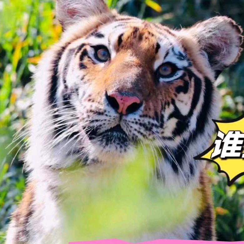 文昌湖萌宠动物园